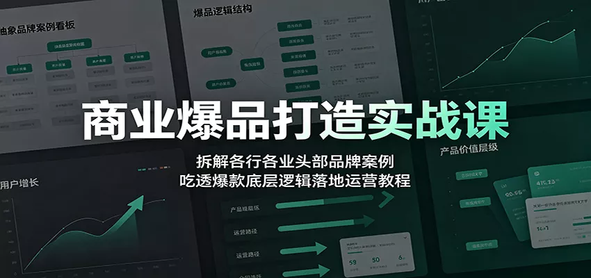 商业爆品打造实战课：拆解各行各业头部品牌案例，吃透爆款底层逻辑落地运营教程胖子网创胖子网创