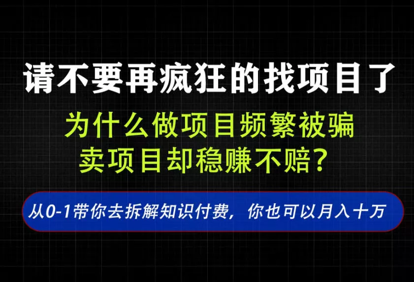 找项目？别傻了！卖项目才是真的一本万利！看完你全都懂了【揭秘】胖子网创胖子网创