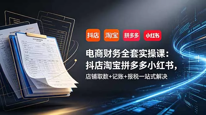 电商财务全套实操课：抖店淘宝拼多多小红书，店铺取数+记账+报税一站式解决胖子网创胖子网创