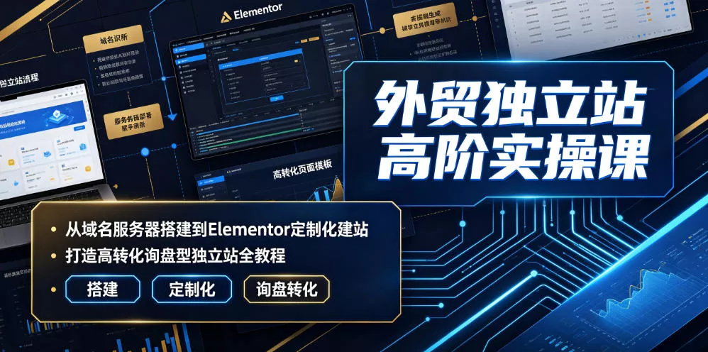 外贸独立站高阶实操课｜从域名服务器搭建到Elementor定制化建站，打造高转化询盘型独立站全教程胖子网创胖子网创