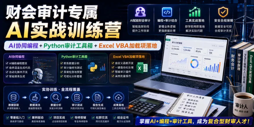 财会审计专属AI实战训练营｜AI协同编程+Python审计工具箱+Excel VBA加载项落地(更新0816)胖子网创胖子网创