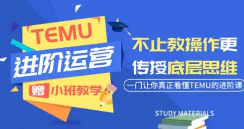 阿卡林·TEMU运营课程(基础+进阶)胖子网创胖子网创