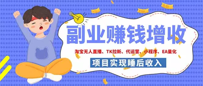 2026年多个真实落地副业项目，手把手带你搭建被动收入管道(淘宝无人直播、海外TK拉新…胖子网创胖子网创