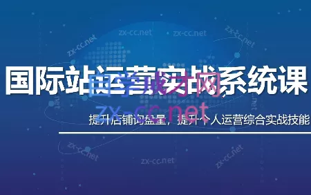 白老师·国际站运营实战系统(高质量询盘增长课)(更新)胖子网创胖子网创