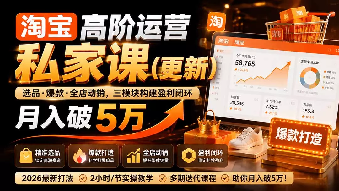 淘宝高阶运营私家课(更新26年胖子网创胖子网创