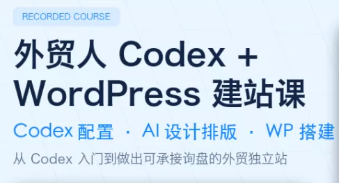大卫·外贸人Codex + WordPress建站课(更新8月)胖子网创胖子网创