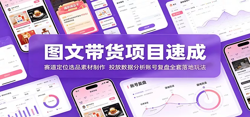 图文带货项目速成：赛道定位选品素材制作，投放数据分析账号复盘全套落地玩法胖子网创胖子网创