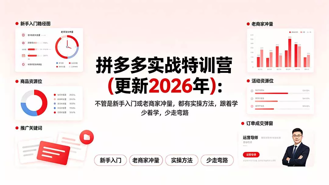 拼多多实战特训营(更新2026年胖子网创胖子网创