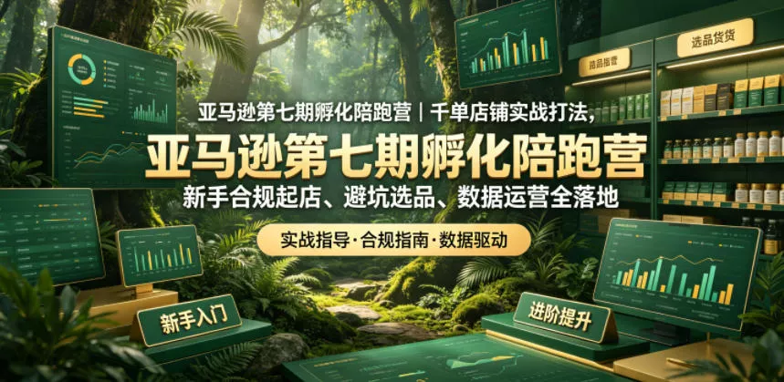 亚马逊孵化陪跑营｜千单店铺实战打法，新手合规起店、避坑选品、数据运营全落地(更新0708)胖子网创胖子网创