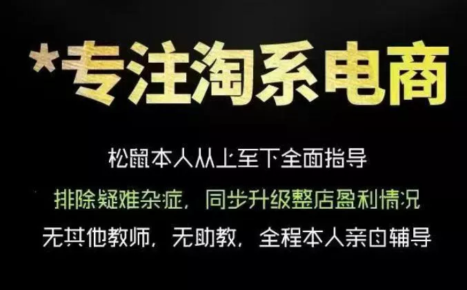 松鼠会电商VIP课程，从基础布局到高阶优化，助你掌握淘宝运营逻辑，提升店铺流量与转化(更新0815)胖子网创胖子网创