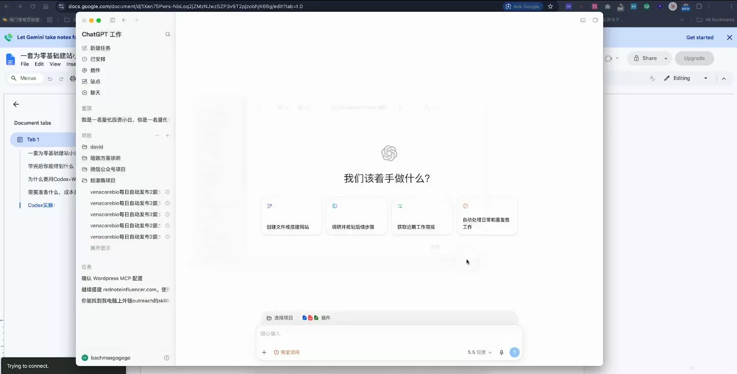 大卫·外贸人Codex + WordPress建站课(更新8月)