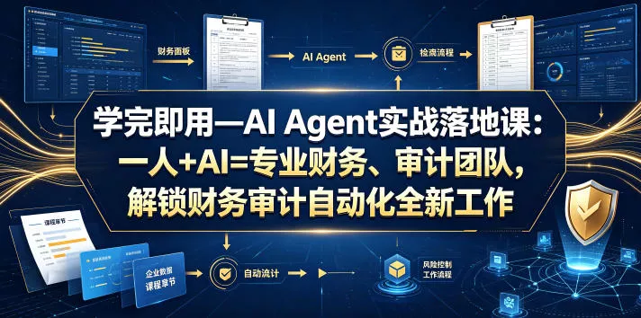 学完即用—AI Agent实战落地课：一人+AI=专业财务、审计团队，解锁财务审计自动化全新工作模式(更新0818)胖子网创胖子网创