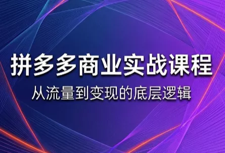 缥缈·2026拼多多课程(更新6月)胖子网创胖子网创