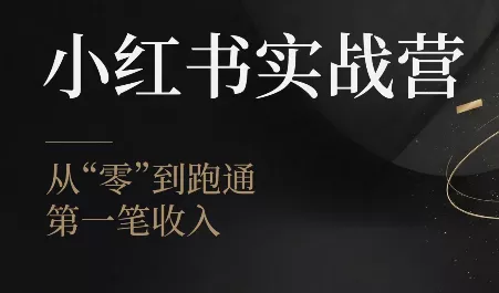 金金老师·小红书实战营胖子网创胖子网创