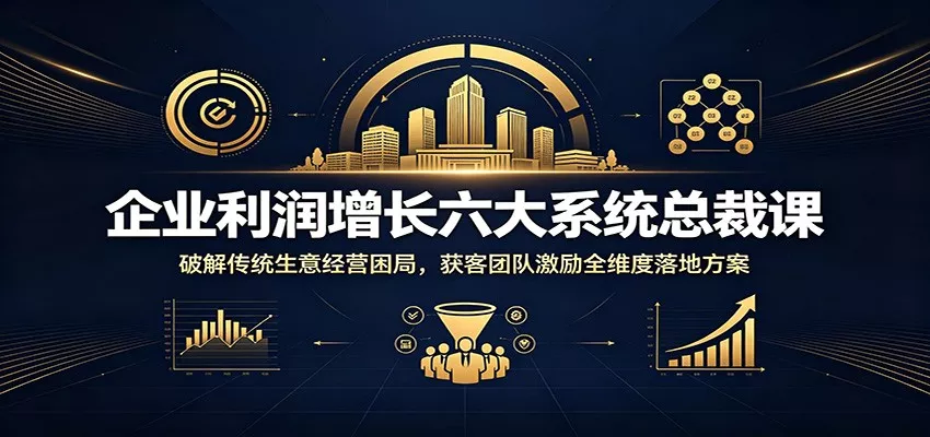 企业利润增长六大系统总裁课：破解传统生意经营困局，获客团队激励全维度落地方案胖子网创胖子网创
