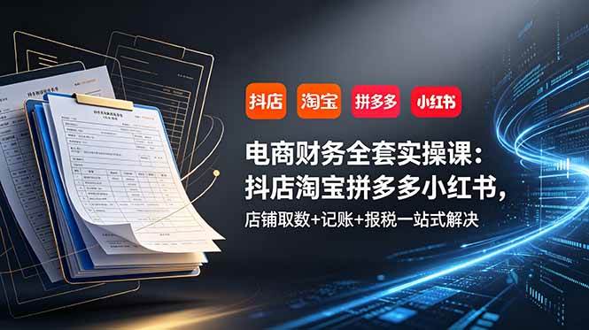 （19001期）电商财务全套实操课：抖店淘宝拼多多小红书，店铺取数+记账+报税一站式解决胖子网创胖子网创