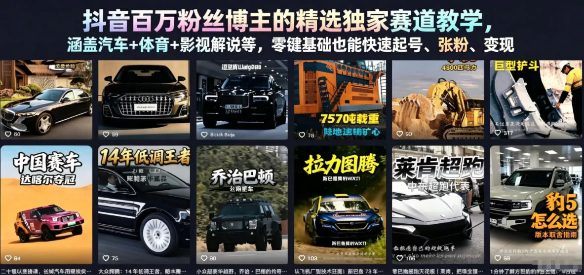 抖音百万粉丝博主的精选独家赛道教学，涵盖汽车+体育+影视解说等，零基础也能快速起号、涨粉、变现(更新0701)胖子网创胖子网创