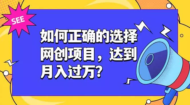 如何正确的选择网创项目，达到月入过万？，本课程教你正确选择项目。胖子网创胖子网创