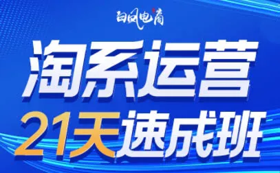 白凤电商·淘系运营21天速成班(更新7月)胖子网创胖子网创