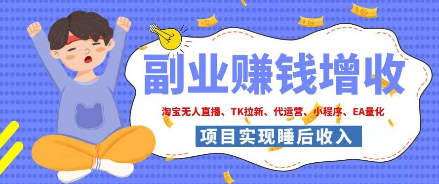 2026年多个真实落地副业项目，手把手带你搭建被动收入管道(淘宝无人直播、海外TK拉新、CSGO饰品交易、去水印小程序等)【揭秘】胖子网创胖子网创