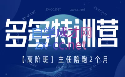 纪主任·拼多多特训营(更新8月)胖子网创胖子网创