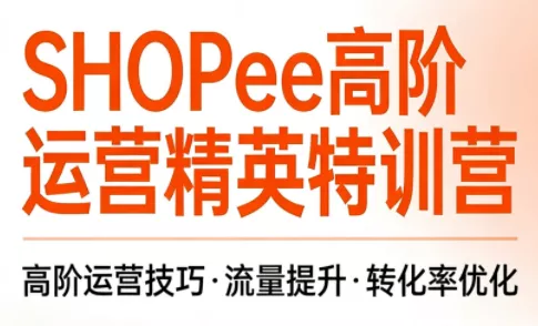 梦凡老师·Shopee虾皮高阶运营课程(更新)胖子网创胖子网创